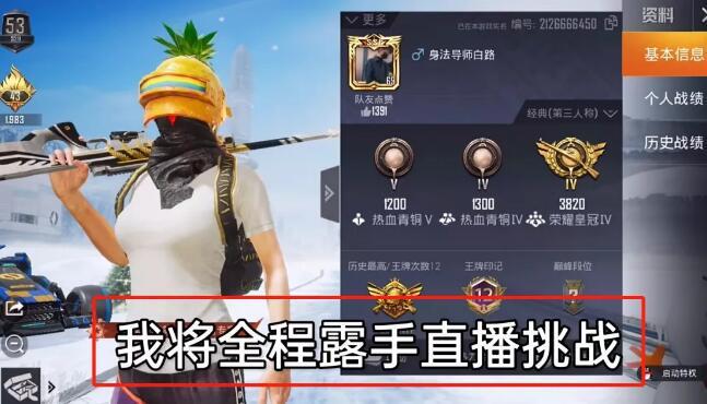 探索和平精英辅助对游戏公平性的挑战